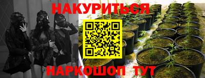 jwh Краснодар