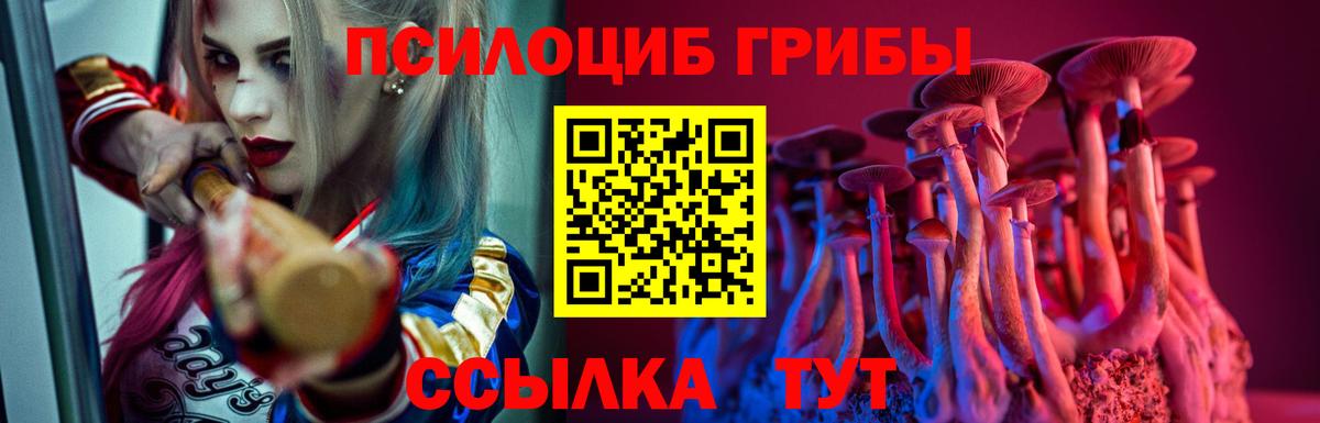 Псилоцибиновые грибы Magic Shrooms  Псилоцибиновые грибы Magic Shrooms  хочу наркоту  Кировск  Вход с VPN 
